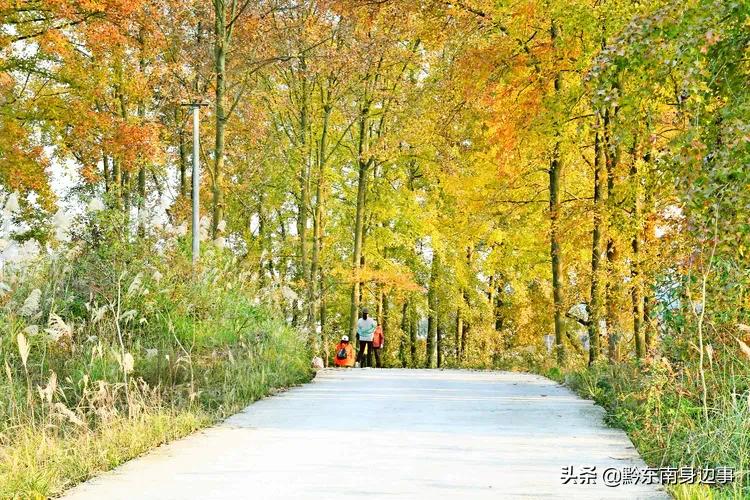 大美黄平，美生好地方