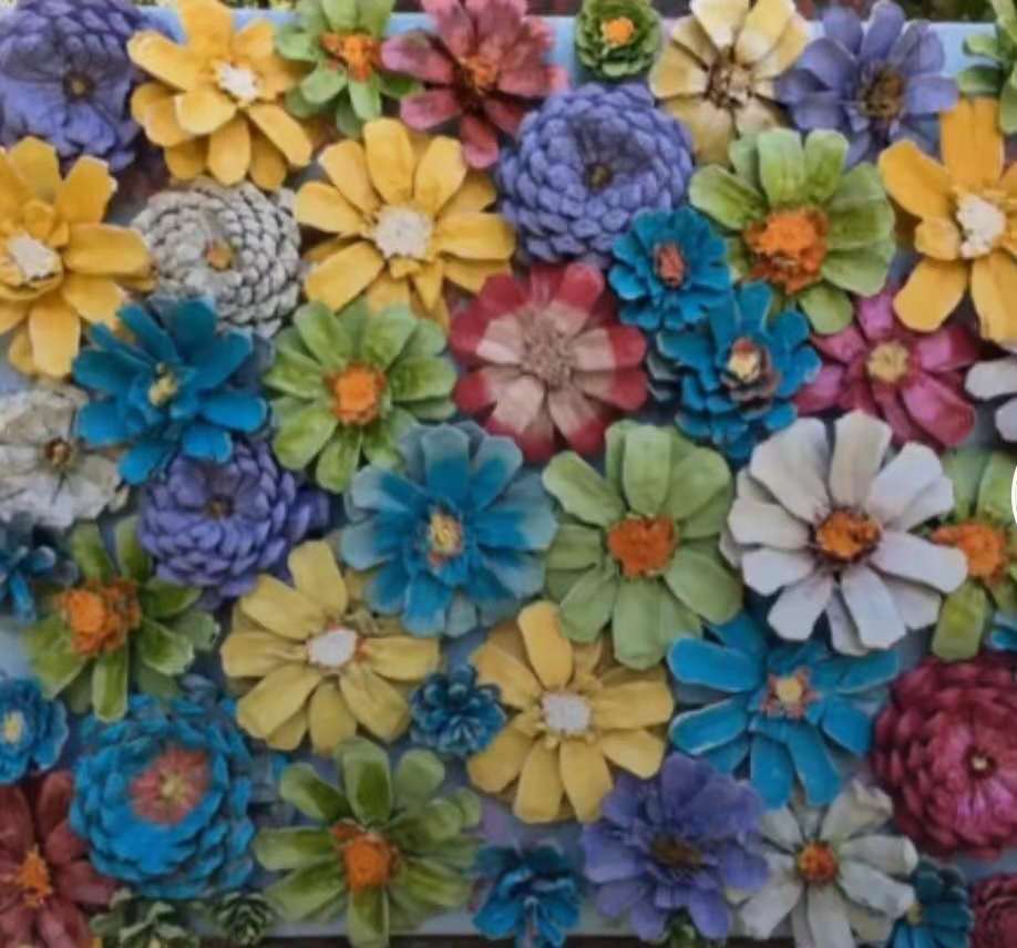 永不凋谢的松果花,永远不会凋谢的花朵