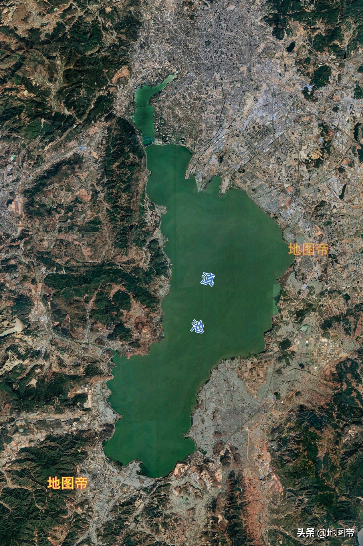 西双版纳大象北上,为什么西双版纳到昆明那么久