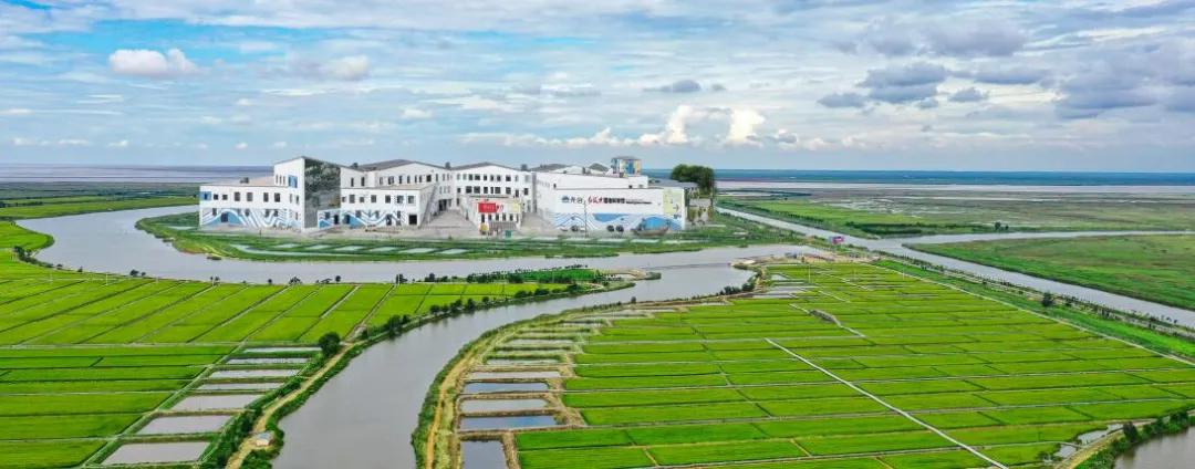 盘锦大洼区旅游攻略,盘锦大洼旅游