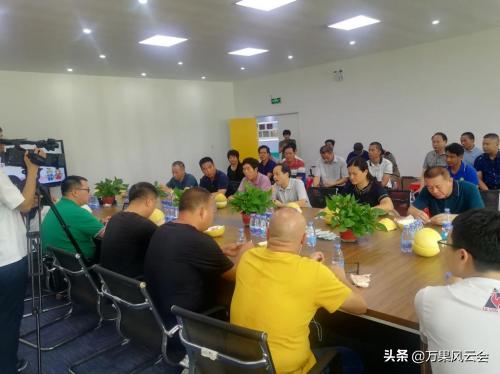 产地万里行梅州站——助推梅州蜜柚产业升级