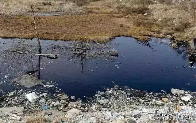 洱海被拆掉的那些海景客栈,洱海整顿还能游洱海吗