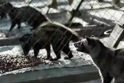 只为一串佛珠,他活剥了我妈的皮:人心有多可怕,你根本想象不到