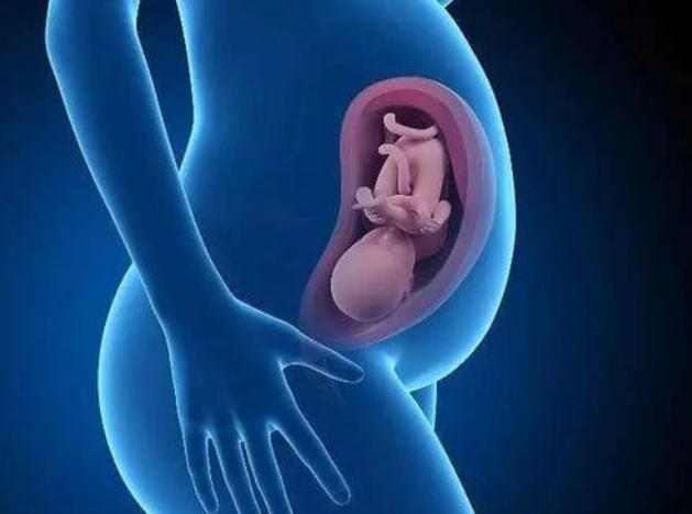 同样都是怀孕怎么不一样,孕期有吐的宝妈吗