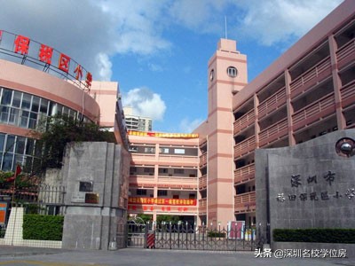 深圳小学10强有哪些,深圳各区小学教育综合实力排名