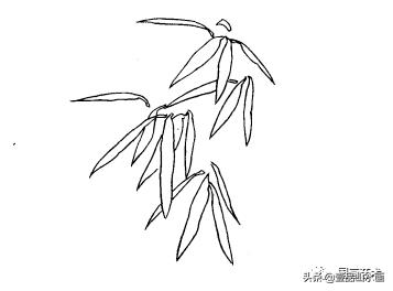 图文教程竹子画法,怎么画竹最简单最好看