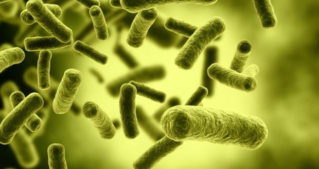 脱发脱成灭霸，我加入了妇愁者联盟！澳洲messina带你找回自信