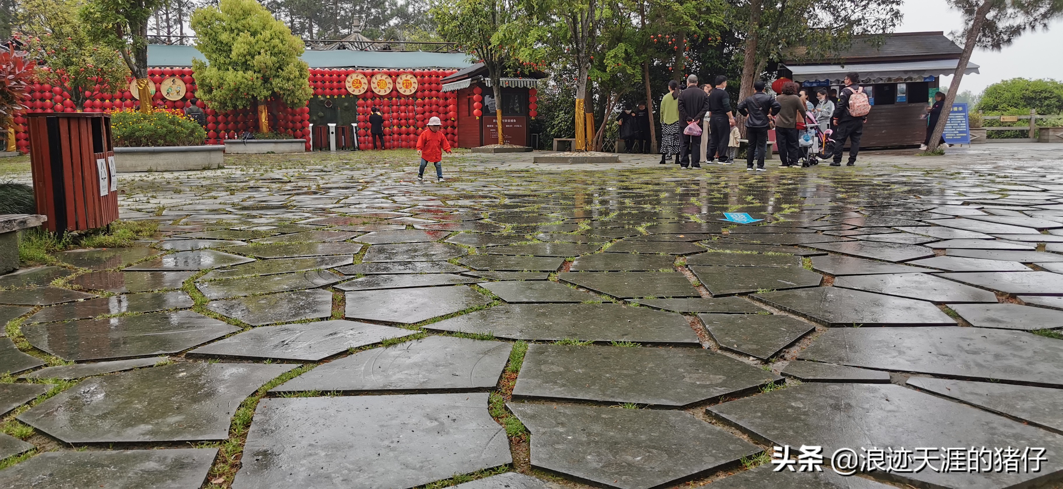 千岛湖疫情政策,千岛湖景区半价优惠
