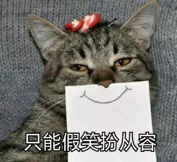 养了好多年的猫突然怕我,养了五年的猫很想把它扔了