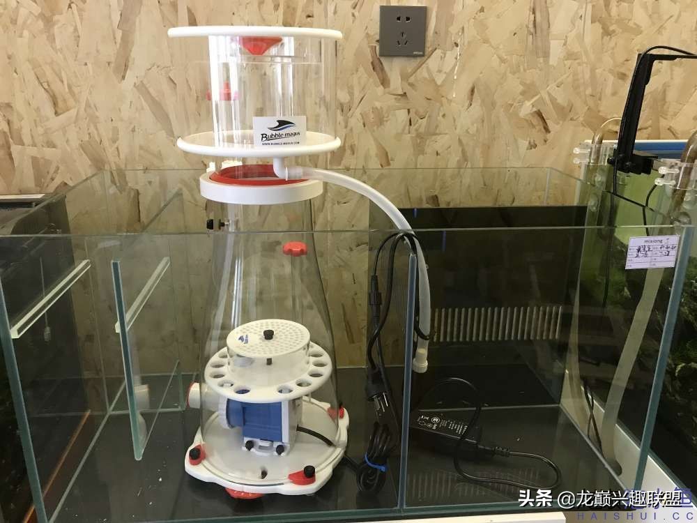 从零开始玩海缸的方法,从零开始玩海缸全过程