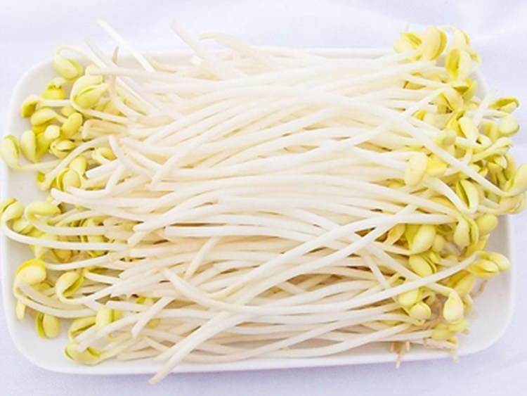 狗狗吃蔬果注意什么,狗狗常吃这9种食物轻松活到18岁