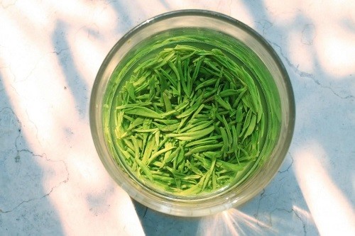 高中生喝什么茶提神醒脑抗疲劳,提神醒脑抗疲劳的茶有哪些