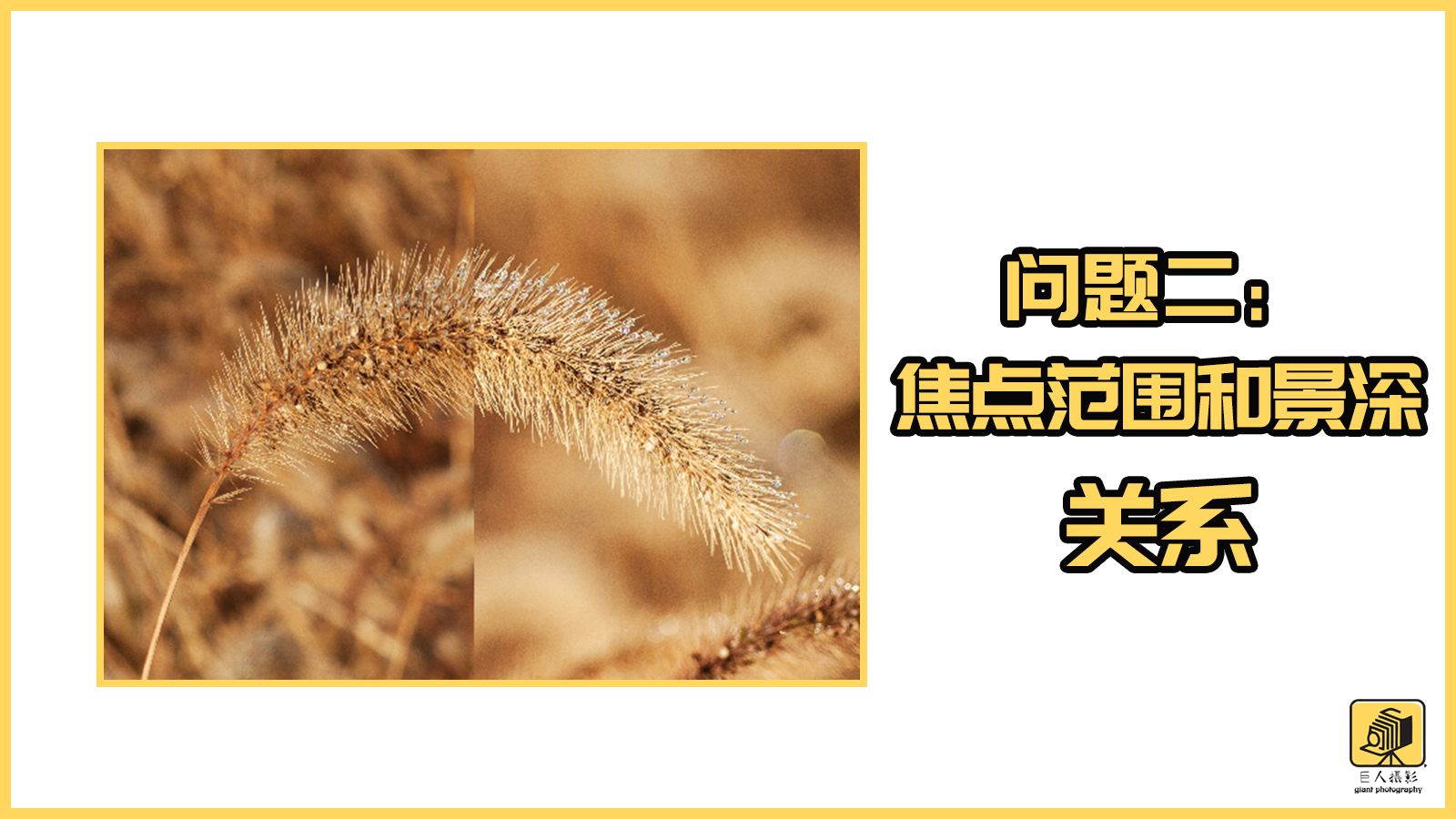 摄影什么是入门级光圈,摄影初学者如何看懂景深