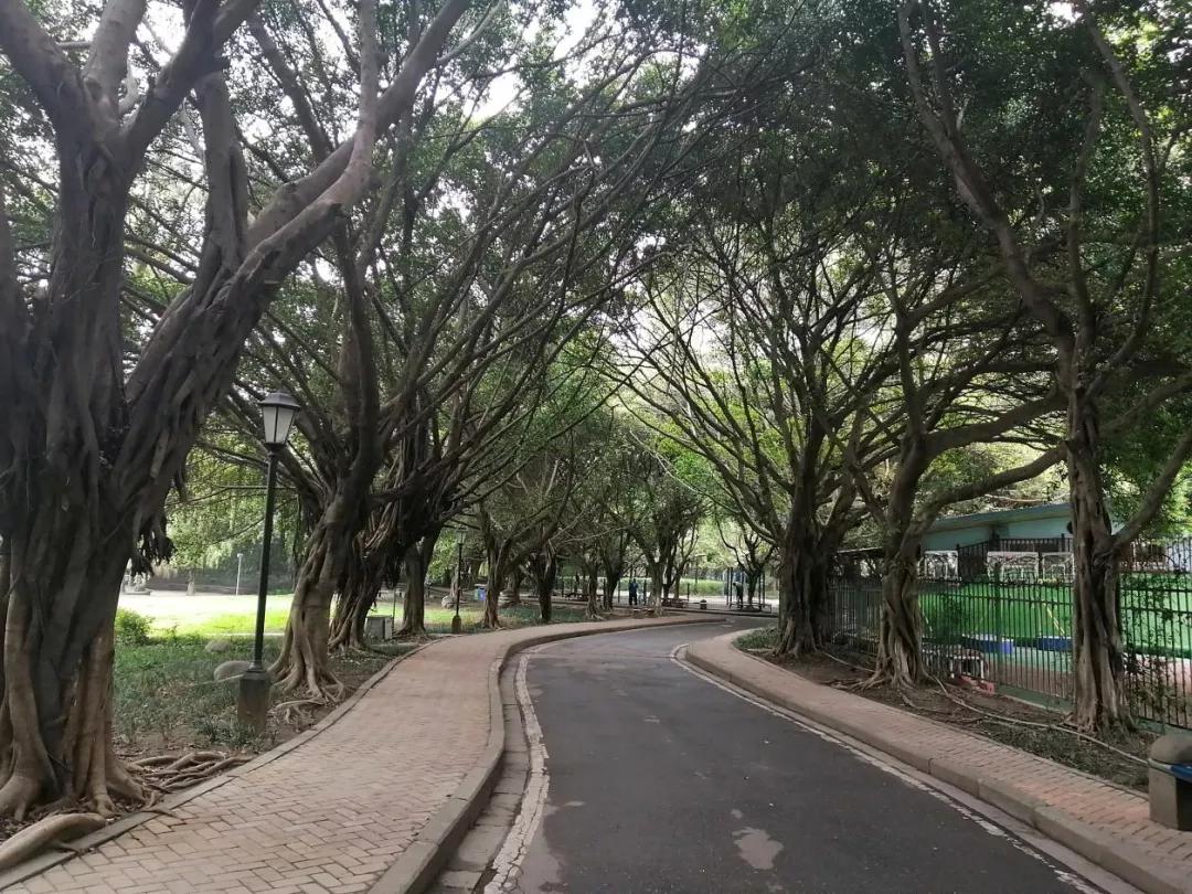 等了十年的搬迁,成都红牌楼西部汽车城好久搬迁