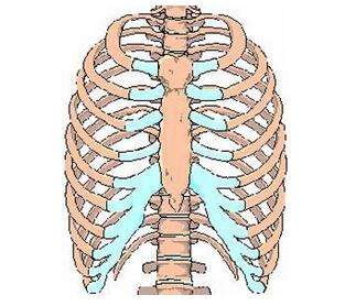 被撞肋骨骨折保险公司赔偿多少,车祸肋骨骨折保险公司赔偿案例