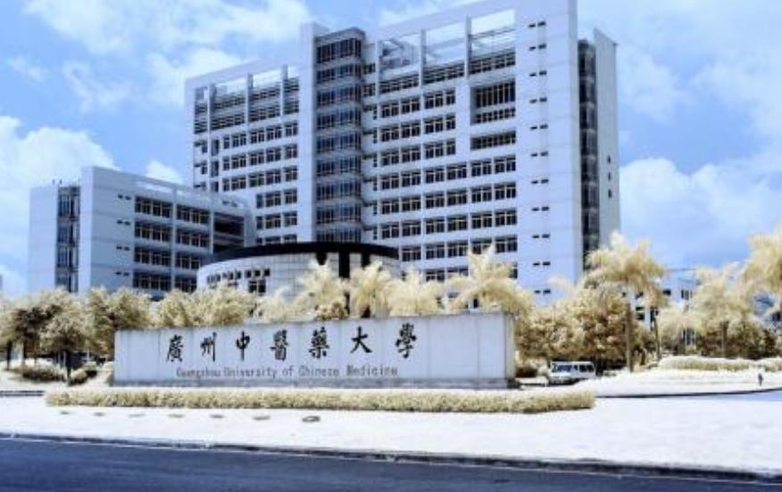 国内综合排名较好的中医药大学,最可能进入双一流的中医药大学