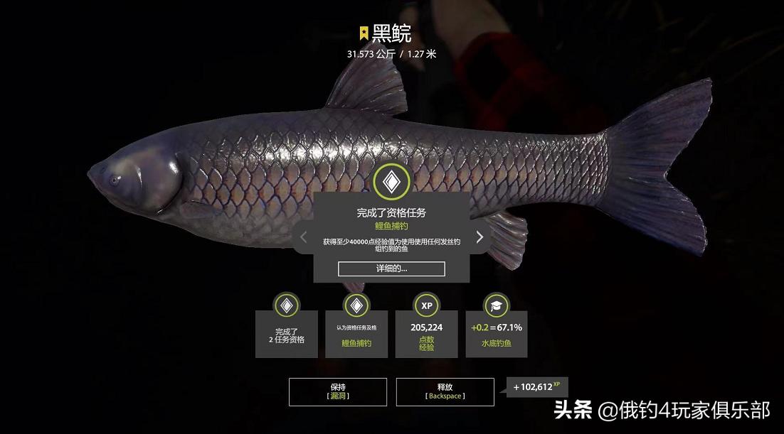 俄罗斯钓鱼4丨18图，碰瓷31K大黑鲩+31K无磷鲤