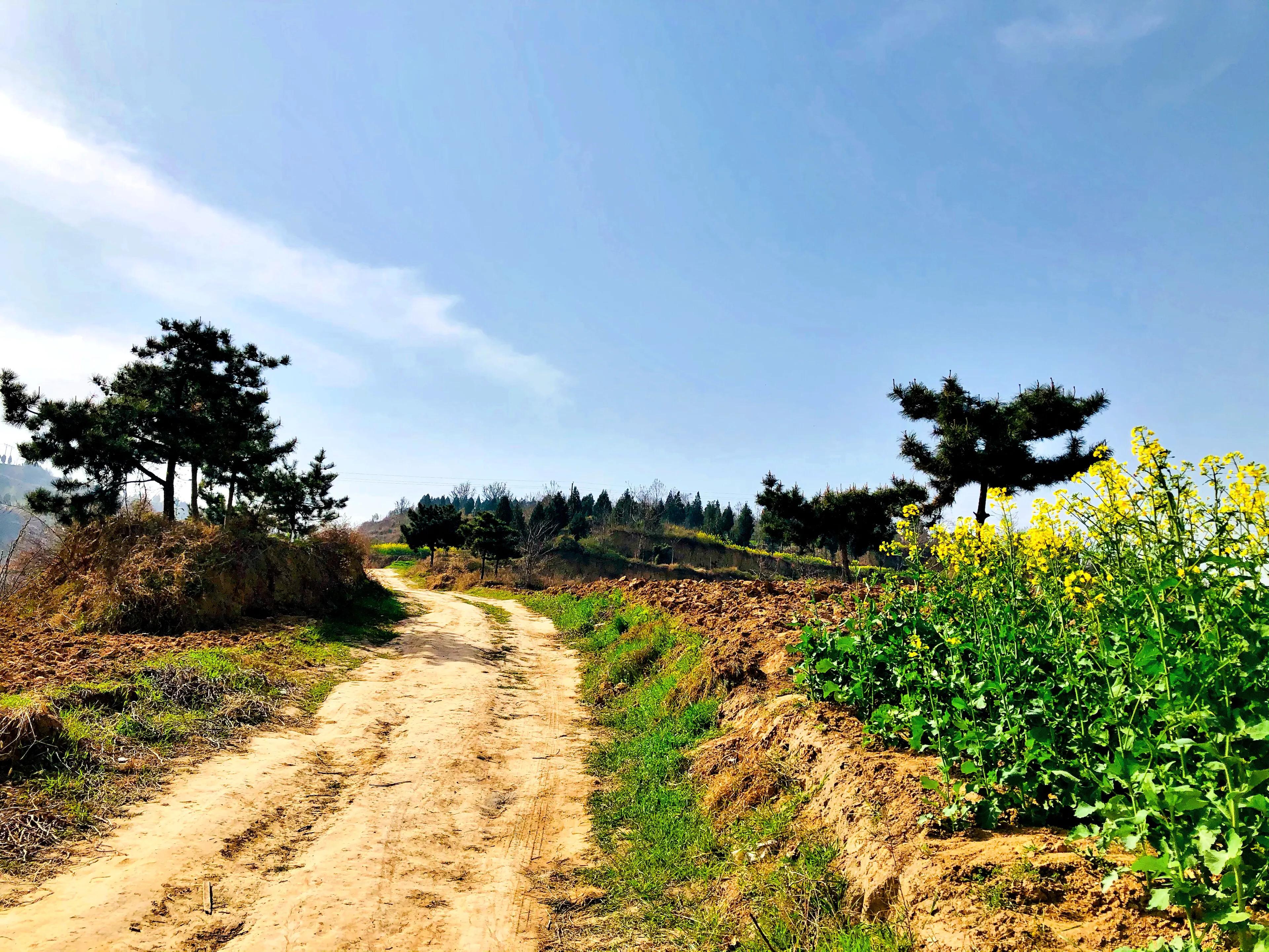 金塘半日游,白鹿原一日游攻略