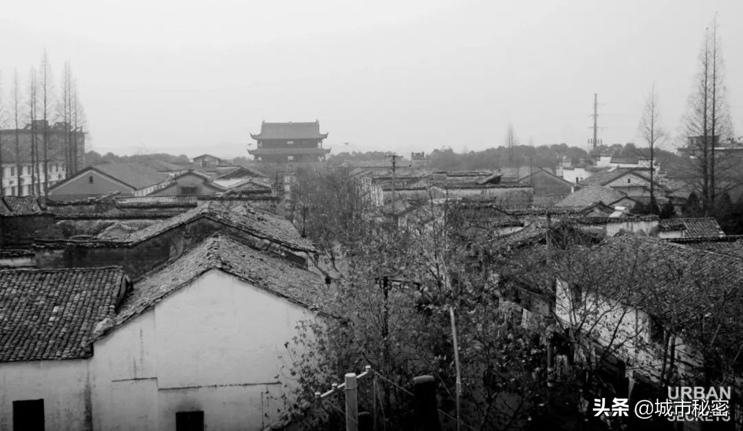 金庸谈衢州,金庸笔下浙江江山市