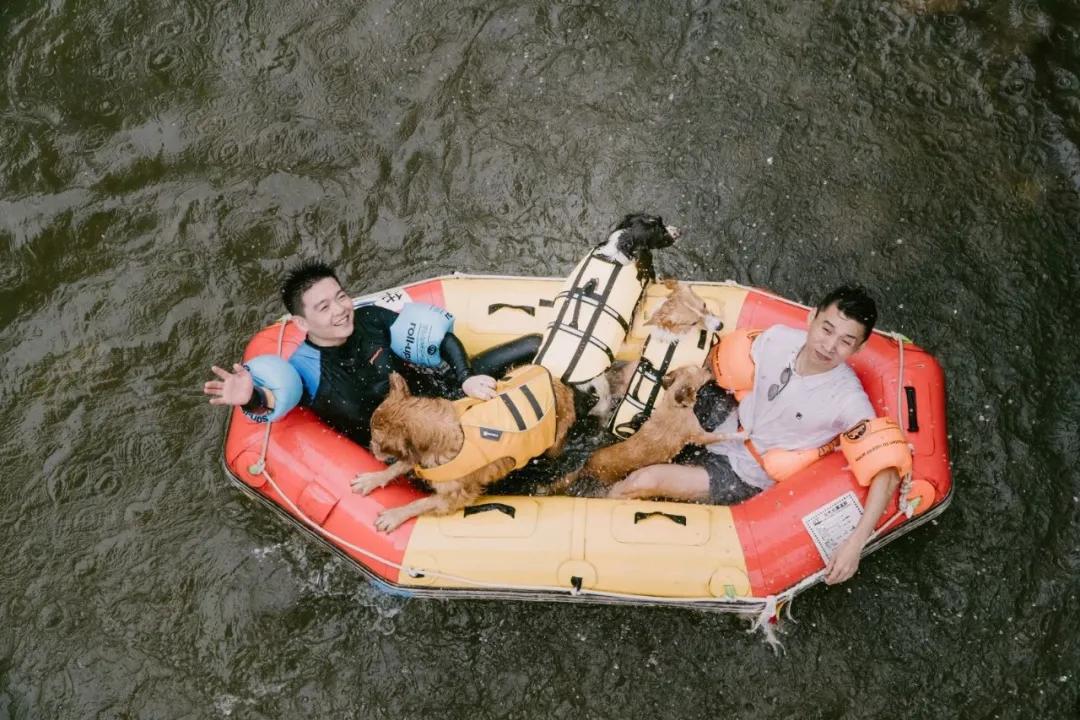 带着自己的宠物去旅行,主人带着狗狗去全世界旅行