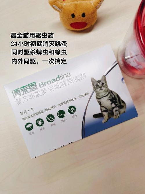 定期给宠物猫驱虫视频教程,猫需要定期驱虫吗