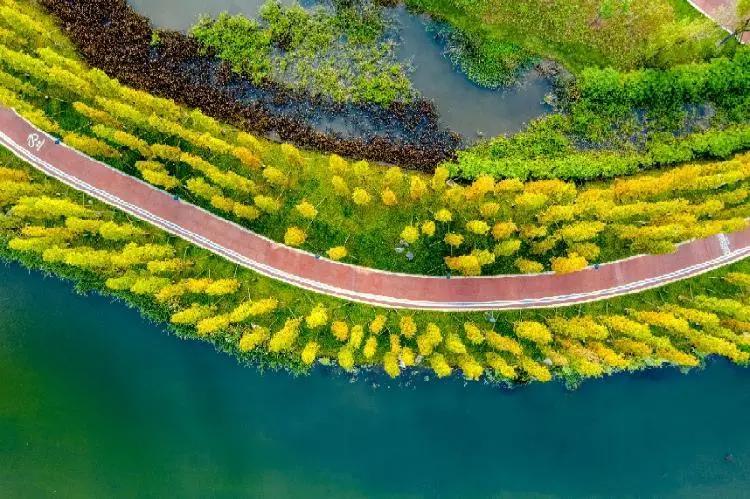 其他城市人眼中的成都,成都人眼中的成都