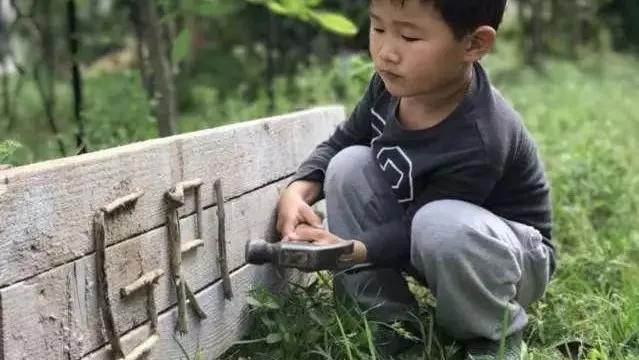 用低成本打造高颜值农场,广东夫妇超省钱