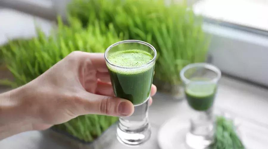 喝青汁减肥？日本公司因虚假宣传，被罚款1亿