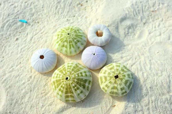 三沙四面大海,三沙的大美风光