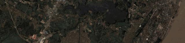 宜居有四季的城市,汉阳四新宜居么