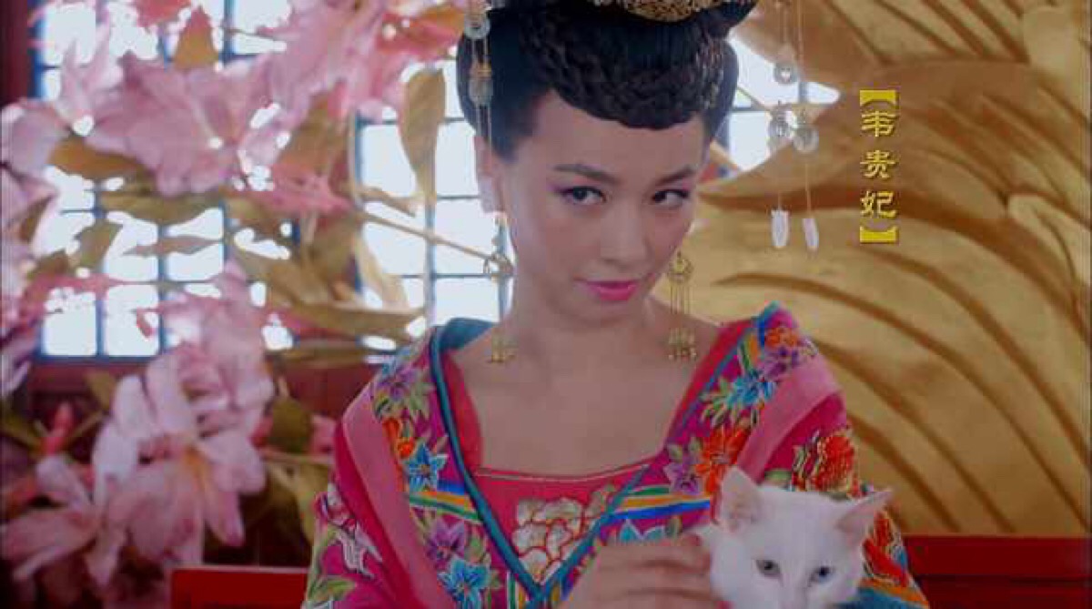 微商张庭现状如何,张庭注销9家公司涉及50多亿元