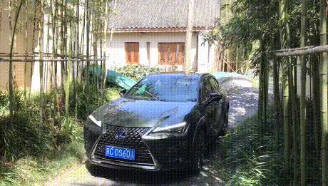 雷克萨斯ux有没有重大缺陷,买雷克萨斯ux的10大忠告