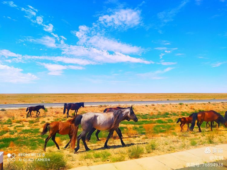 内蒙古二连浩特地图,内蒙古二连浩特机场
