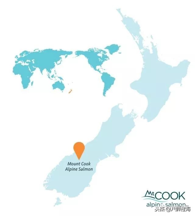 引入活青口贝、鲜帝王鲑,新西兰海产出口商的新生力量!