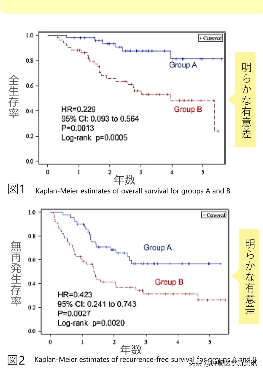 日本发明抗癌药免疫疗法,日本最新免疫治疗癌细胞