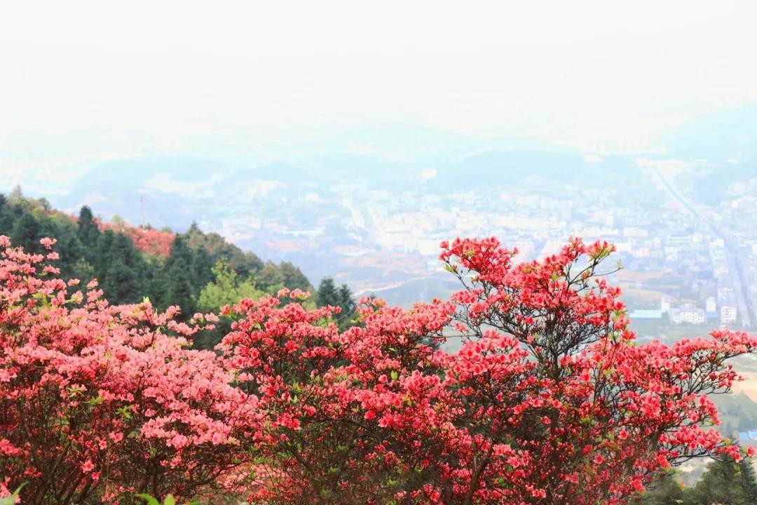 玖玺会人物志丨于钦珍