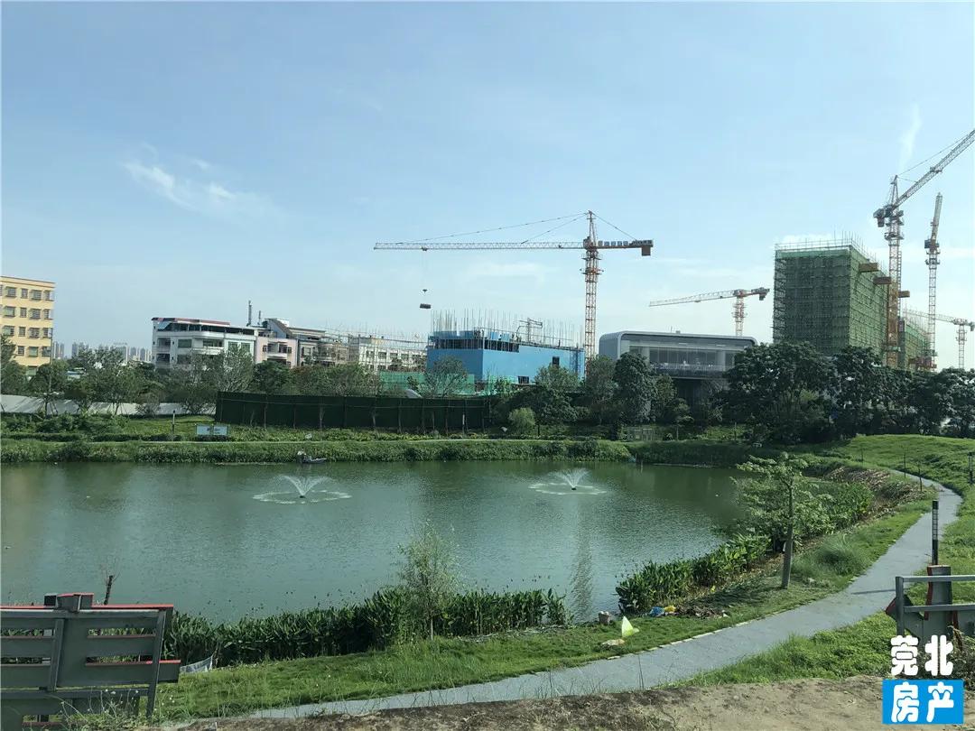 园洲东江府楼盘,惠州园洲东江府房价最新