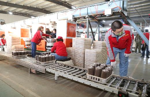 鹤岗鼎尊生物科技公司,鹤岗鼎尊生物科技有限公司