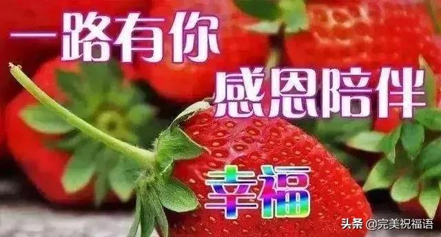 人这辈子都在等待怎么开心怎么过,人这一辈子越是清醒越烦恼