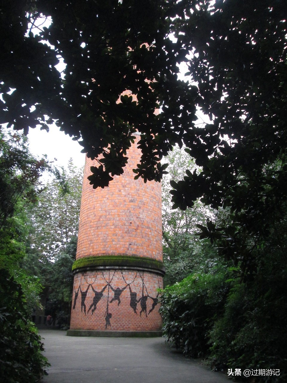 成都小众景点全部,成都动物园本周六免门票怎么预约