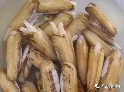 秦皇岛美食排行榜前十名海鲜,秦皇岛最好的海鲜自助餐厅排名榜