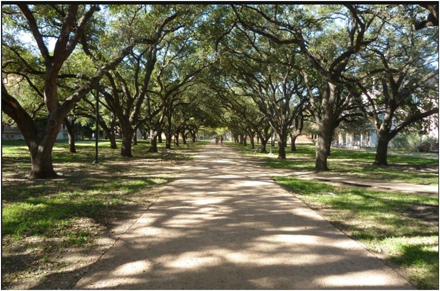 缇庡浗鑾辨柉澶у,缇庡浗鑾辨柉澶у浣嶇疆