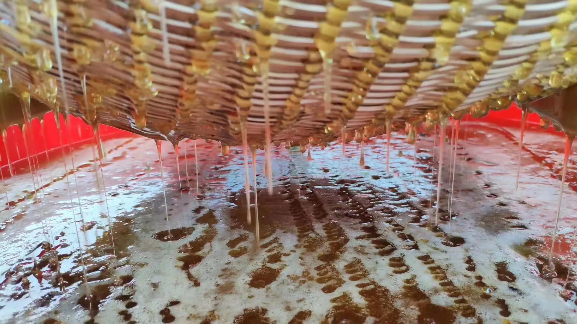 如何正确冲蜂蜜水视频,怎么冲蜂蜜水下火