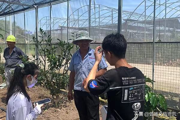 上海石浦镇,云南石浦镇