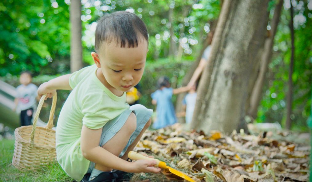 高新区凯贝婴幼学园,凯贝婴幼学园门票