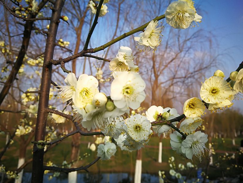 漫步河畔公园全景图,漫步公园美景