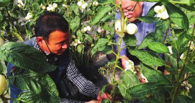 最美不过春耕图,最美不过春天的花草树木