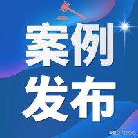 涉民生类案件办理,刑事审判参考第354号案例