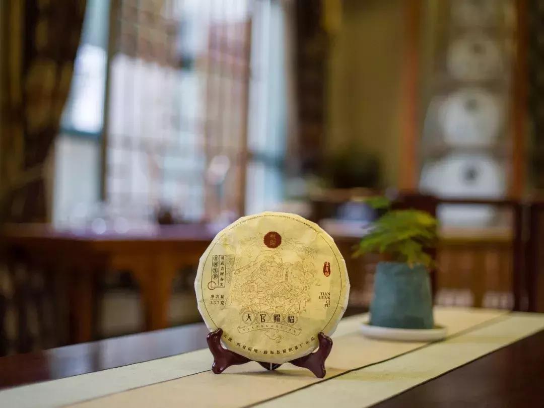 双陈普洱起家于哪里,双陈普洱怎么样