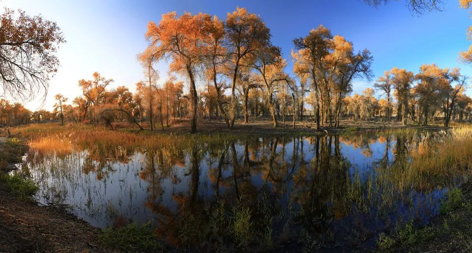 伊犁最美的50处绝色美景,伊犁最美的小众景点